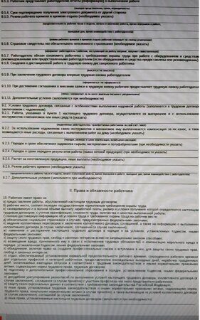 Трудовой договор (3)